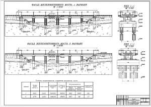 1.	Железобетонный железнодорожный мост в двух вариантах с поперечными разрезами, фасадом и технико-экономическим сравнением
