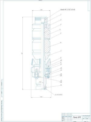 Конструкторский сборочный чертеж устройства пакера ВМС, А1